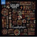 Exaltation -D'Or,Yaniv (Künstler), Ensemble Naya (Künstler), Various (Komponist)  (CD)