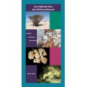 Das duftende Harz des Weihrauchbaums (von Werner Kleine) - Broschüre